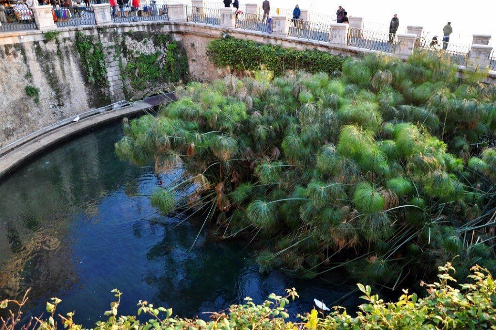 Siracusa Vacanze Syracuse Номер фото
